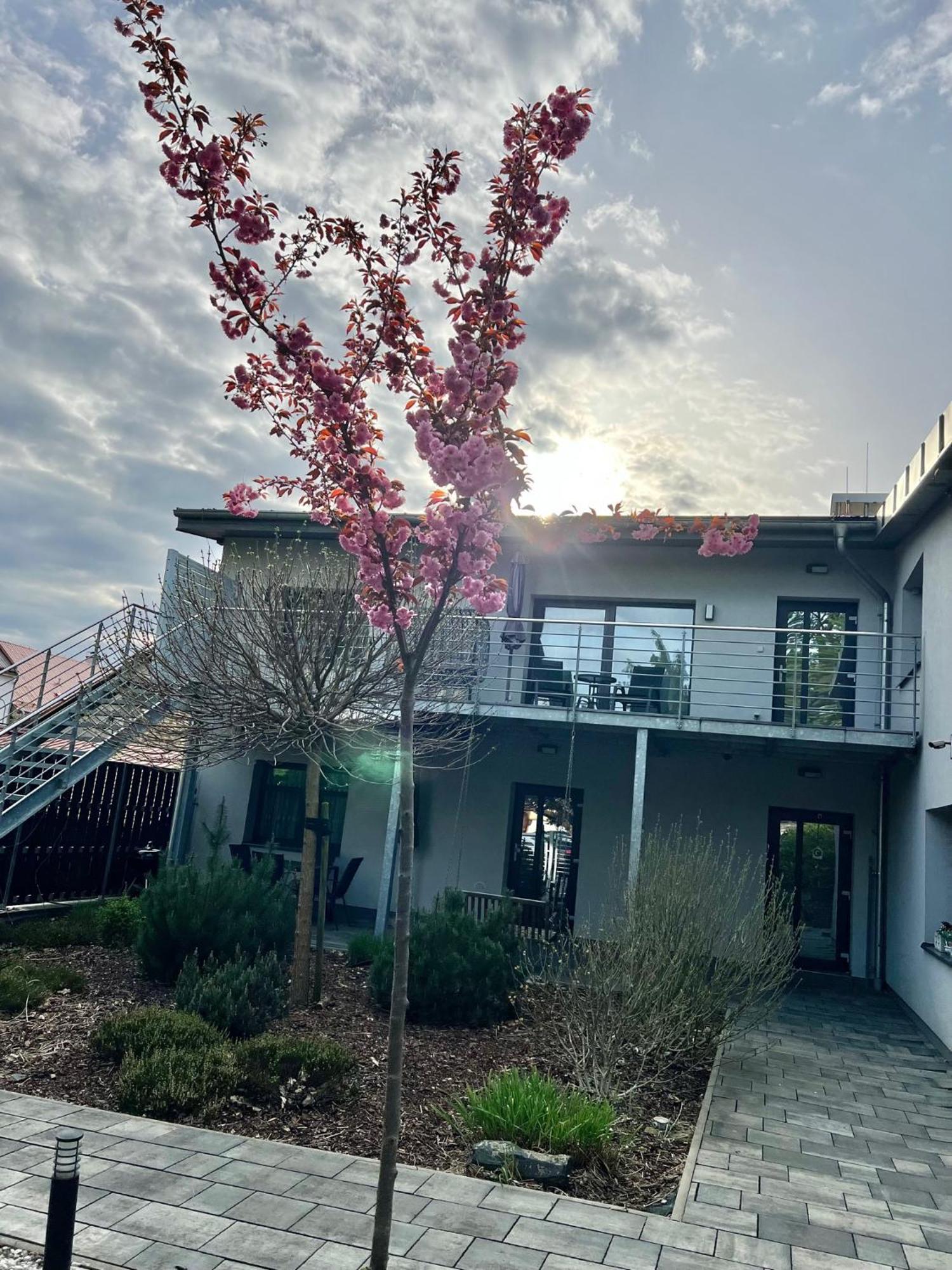 Apartmany Benesov Benesov nad Ploucnici Bagian luar foto