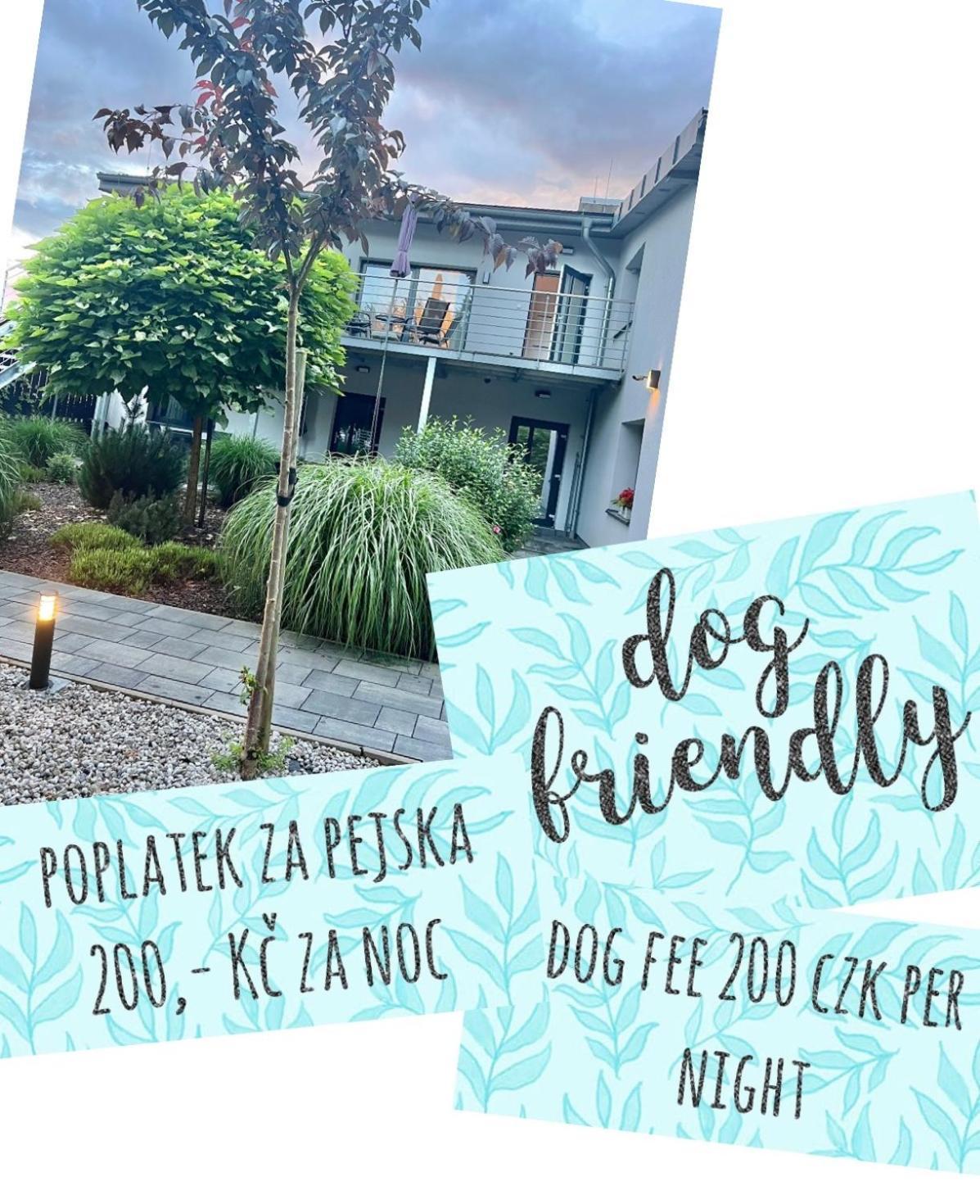 Apartmany Benesov Benesov nad Ploucnici Bagian luar foto
